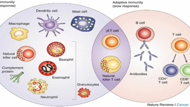 Basic Principles of Immunology